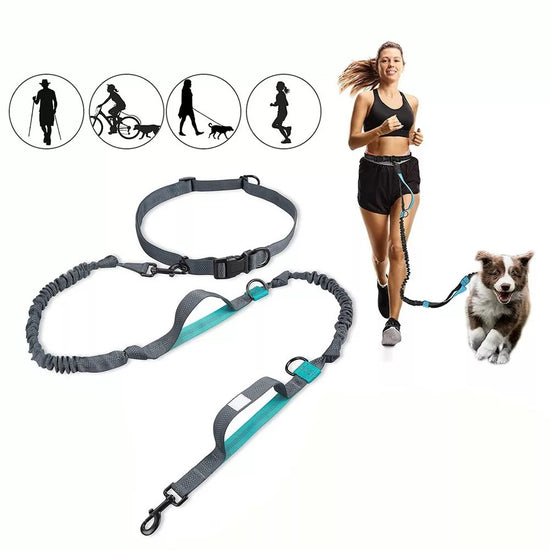 Dog Friendly Rope, cuerda para correr con Mascota